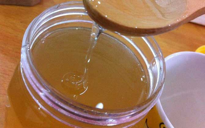 橙花蜜的作用與功效及食用方法 橙花蜜