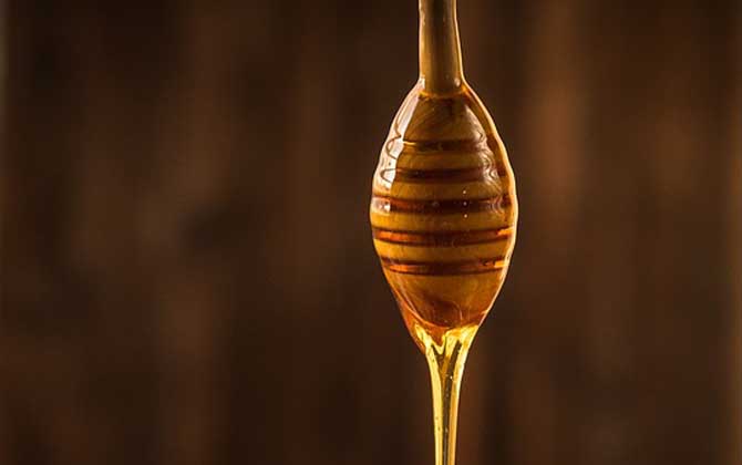 玄參蜜的作用與功效及食用方法 玄參蜜