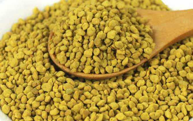 油菜花粉的功效與作用及禁忌人群 油菜花粉