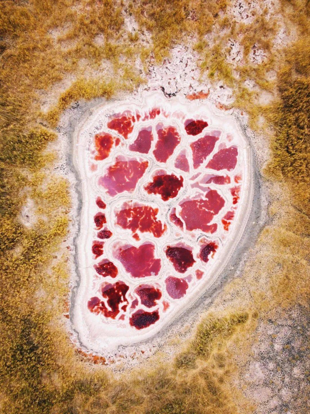 哪一程的旅行滿(mǎn)足了你對(duì)「去遠(yuǎn)方」的美好幻想