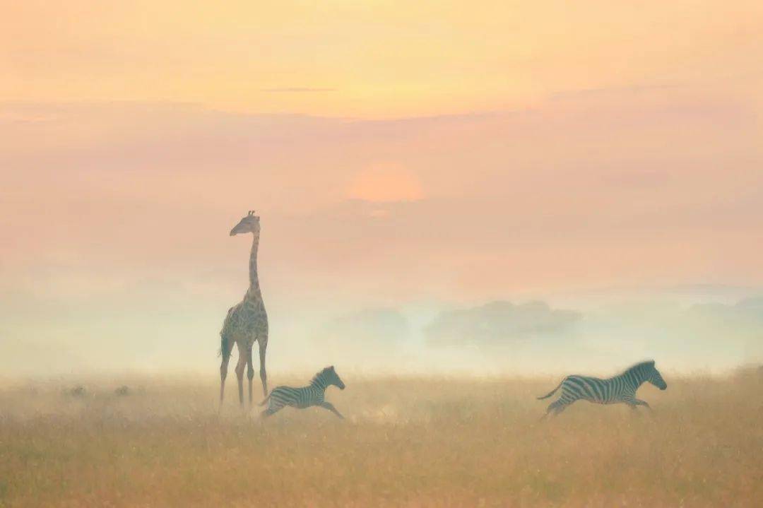 哪一程的旅行滿(mǎn)足了你對(duì)「去遠(yuǎn)方」的美好幻想