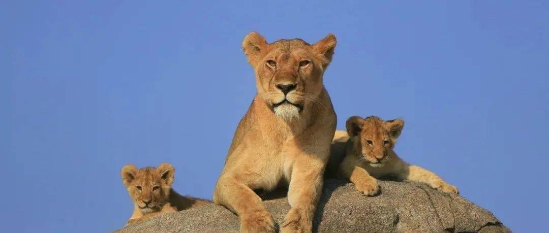 哪一程的旅行滿(mǎn)足了你對(duì)「去遠(yuǎn)方」的美好幻想