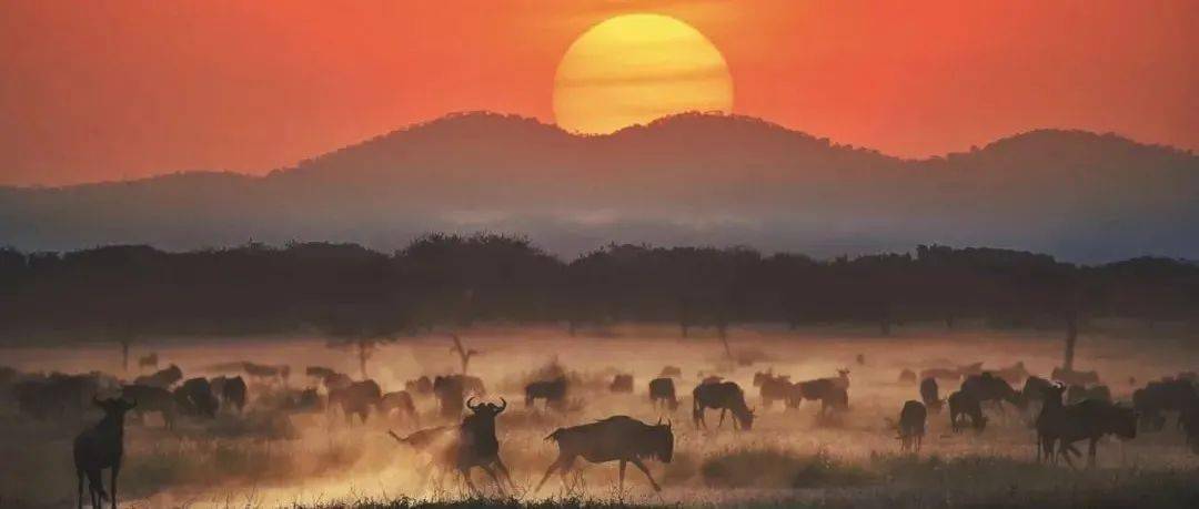 哪一程的旅行滿(mǎn)足了你對(duì)「去遠(yuǎn)方」的美好幻想