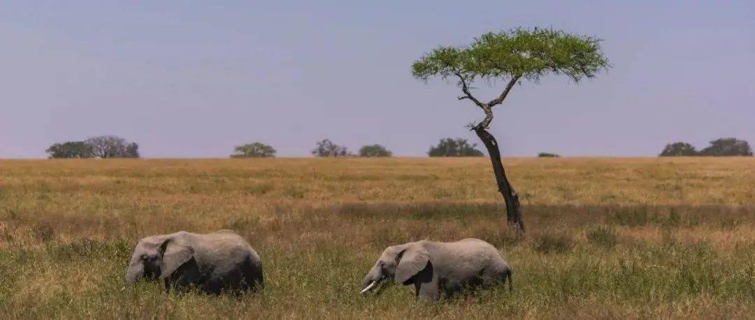 哪一程的旅行滿(mǎn)足了你對(duì)「去遠(yuǎn)方」的美好幻想