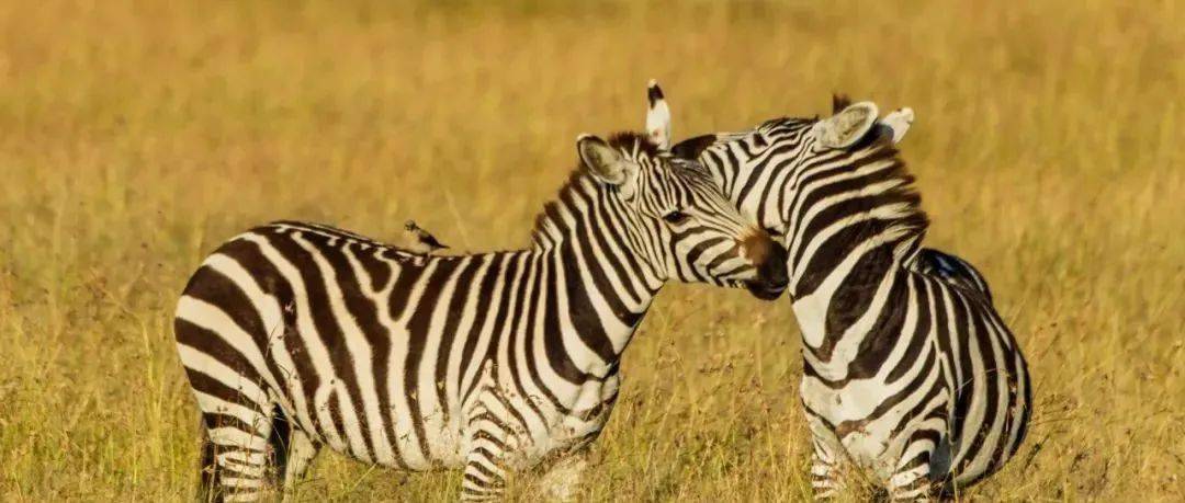 哪一程的旅行滿(mǎn)足了你對(duì)「去遠(yuǎn)方」的美好幻想