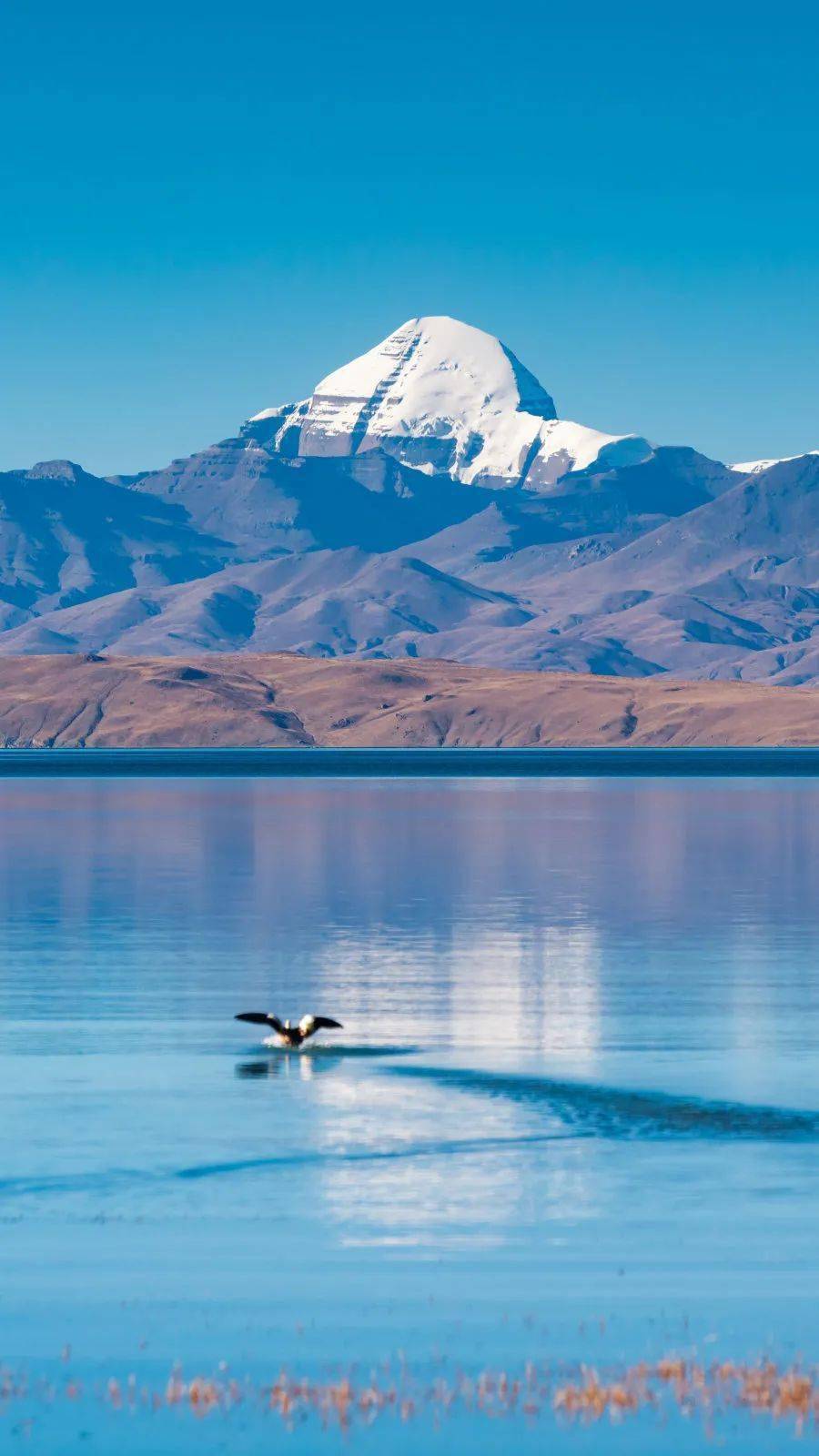 哪一程的旅行滿(mǎn)足了你對(duì)「去遠(yuǎn)方」的美好幻想