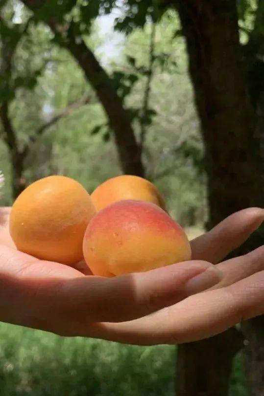 哪一程的旅行滿(mǎn)足了你對(duì)「去遠(yuǎn)方」的美好幻想