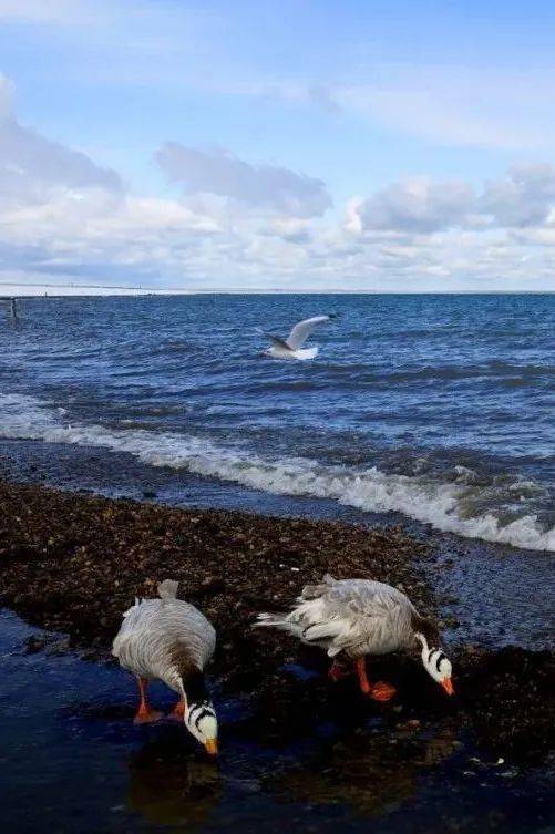 哪一程的旅行滿(mǎn)足了你對(duì)「去遠(yuǎn)方」的美好幻想