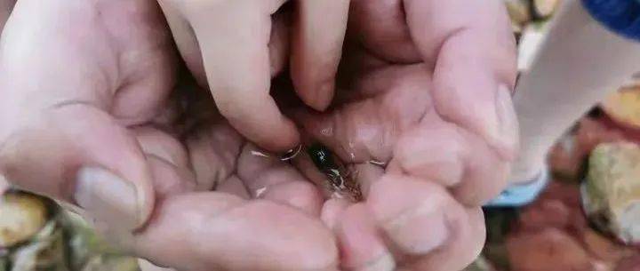 哪一程的旅行滿(mǎn)足了你對(duì)「去遠(yuǎn)方」的美好幻想