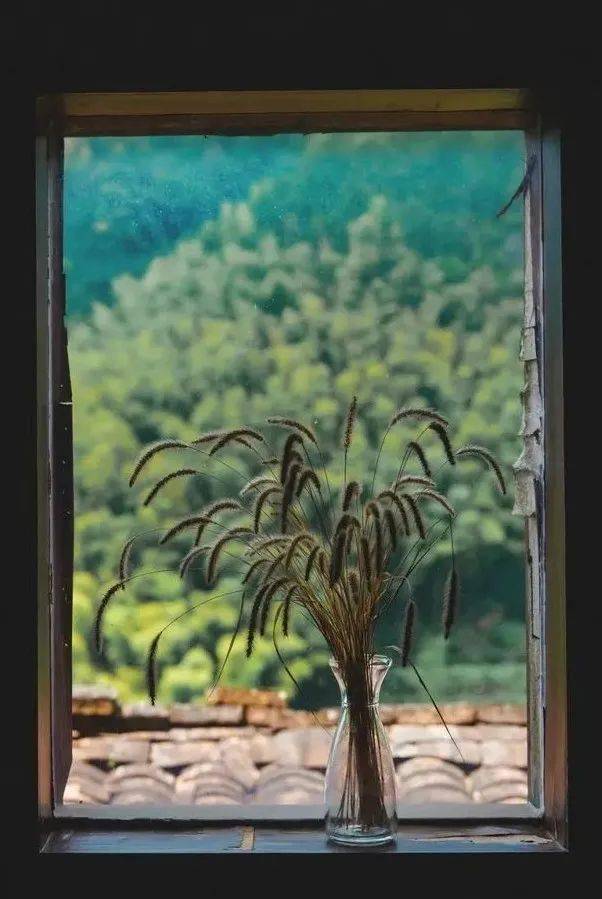 哪一程的旅行滿(mǎn)足了你對(duì)「去遠(yuǎn)方」的美好幻想