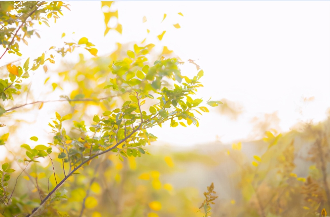 越是無人懂你,越要愛自己(沒有人會(huì)永遠(yuǎn)愛你,除了你自己) 越是無人懂你,越要愛自己(沒有人會(huì)永遠(yuǎn)愛你,除了你自己)
