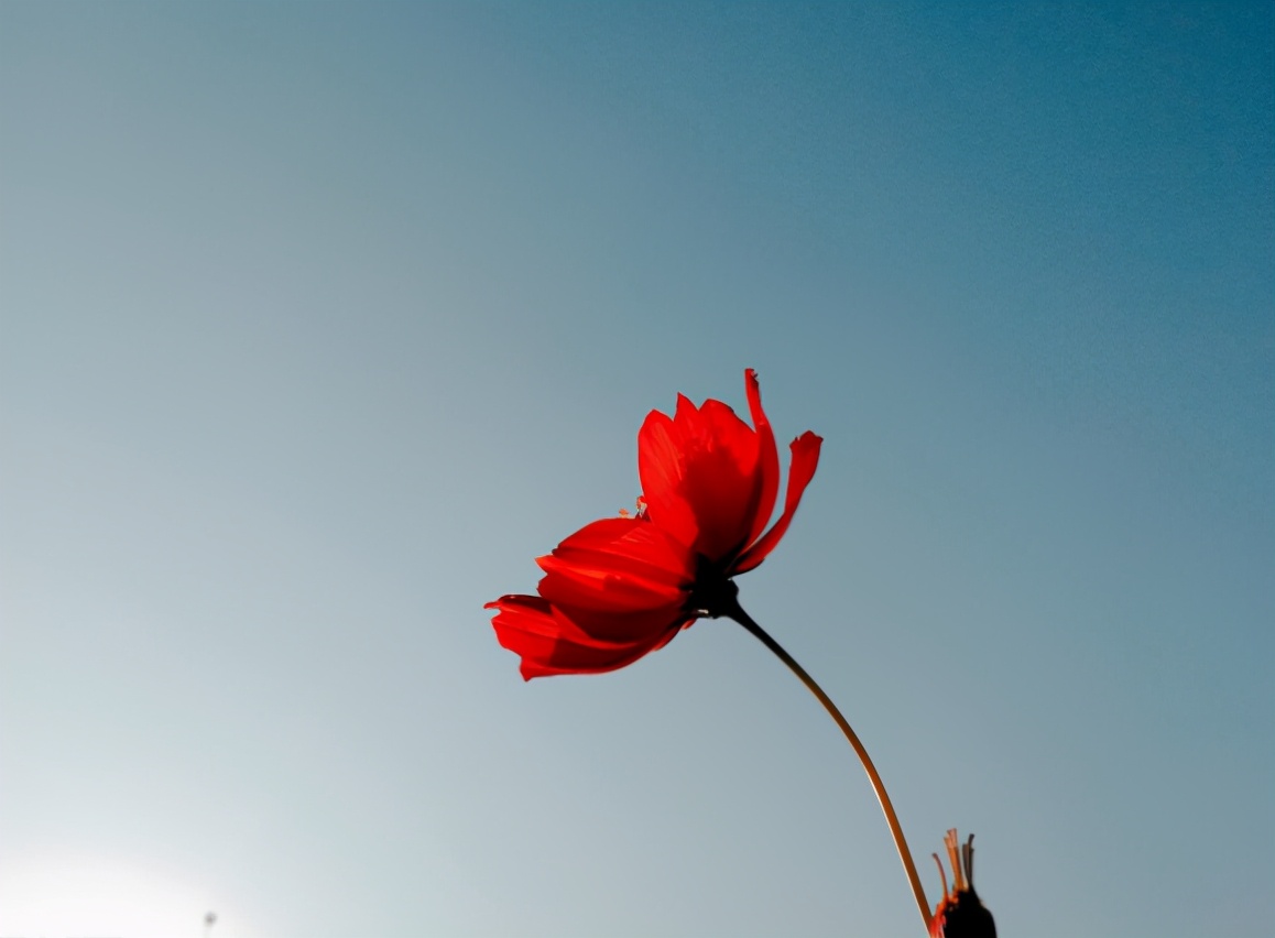 越是無人懂你,越要愛自己(沒有人會(huì)永遠(yuǎn)愛你,除了你自己) 越是無人懂你,越要愛自己(沒有人會(huì)永遠(yuǎn)愛你,除了你自己)