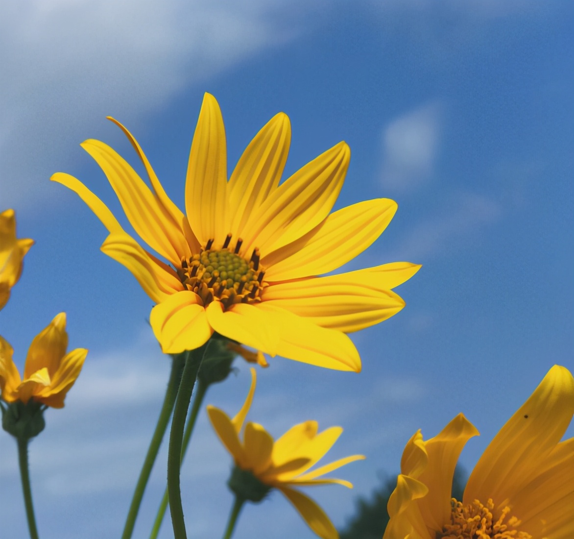 越是無人懂你,越要愛自己(沒有人會(huì)永遠(yuǎn)愛你,除了你自己) 越是無人懂你,越要愛自己(沒有人會(huì)永遠(yuǎn)愛你,除了你自己)