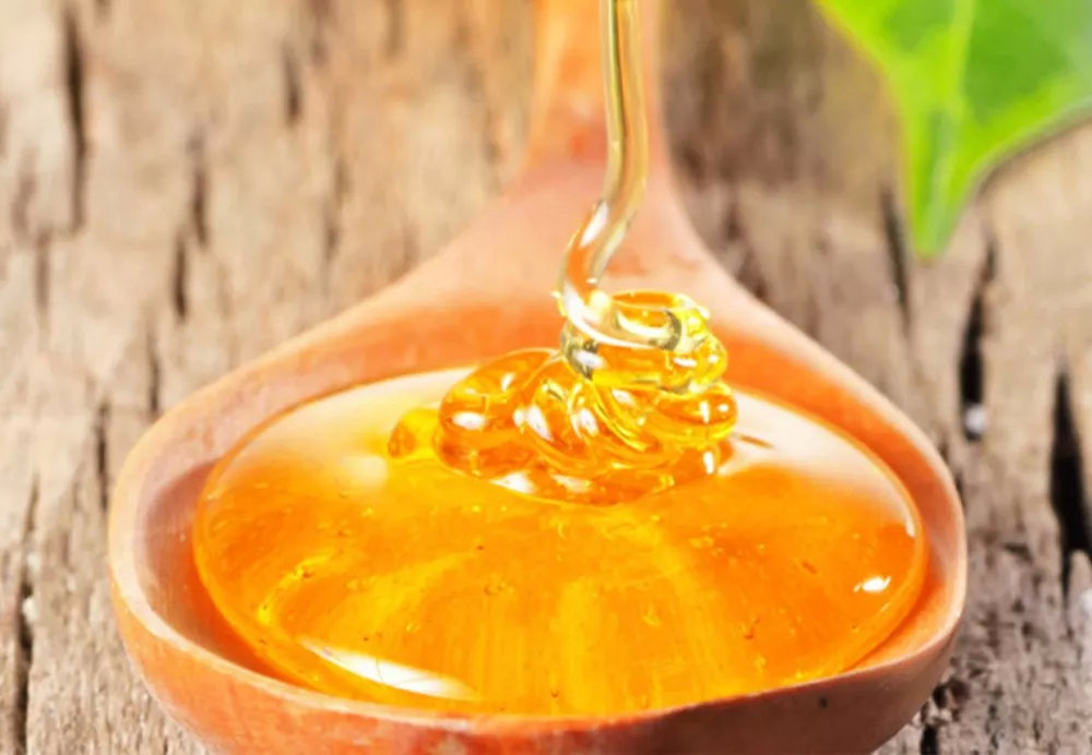 大蔥和蜂蜜能一起吃嗎(大蔥和蜂蜜一起吃的后果) 大蔥和蜂蜜能一起吃嗎(大蔥和蜂蜜一起吃的后果)