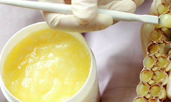 蜂乳和蜂蜜的區(qū)別（什么是蜂乳，和蜂蜜有啥區(qū)別）