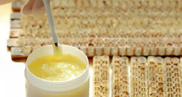 蜂王漿質量好壞的鑒別（什么樣的蜂王漿才是正宗的）