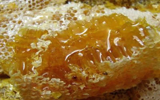 土蜂蜜市場(chǎng)價(jià)格