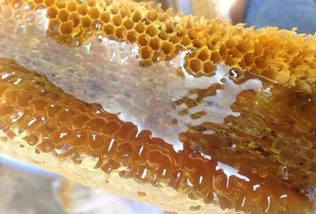 野蜂蜜價(jià)格多少錢一斤（各地正宗野蜂蜜的市場價(jià)格）