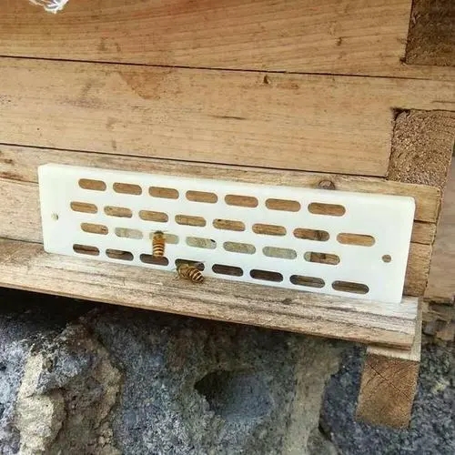 防逃片可以長期使用嗎 防逃片可以長期使用嗎