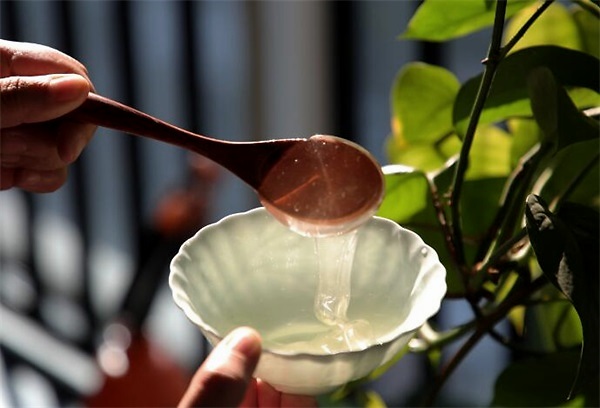 豆腐和蜂蜜可以一起吃嗎(蜂蜜和豆腐一起吃會(huì)怎么樣) 豆腐和蜂蜜可以一起吃嗎(蜂蜜和豆腐一起吃會(huì)怎么樣)