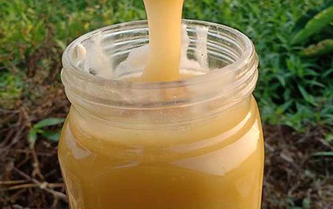 鴨腳木蜜結晶后什么樣的(鴨腳木蜜結晶好還是不結晶好) 鴨腳木蜜結晶后什么樣的(鴨腳木蜜結晶好還是不結晶好)