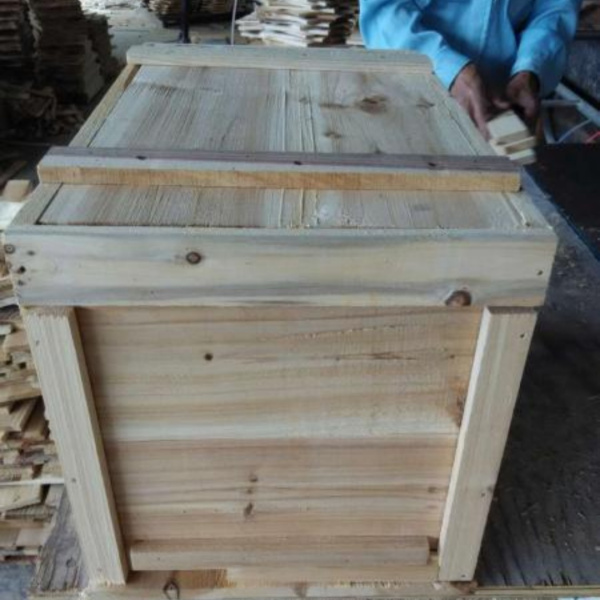 中蜂格子箱最大的缺點(diǎn)是什么(中蜂格子箱最佳尺寸) 中蜂格子箱最大的缺點(diǎn)是什么(中蜂格子箱最佳尺寸)