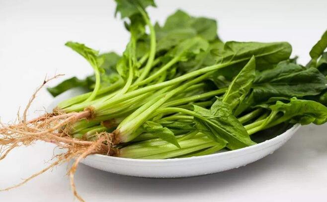 菠菜可以放多久(正確存儲(chǔ)菠菜的方法) 菠菜可以放多久(正確存儲(chǔ)菠菜的方法)