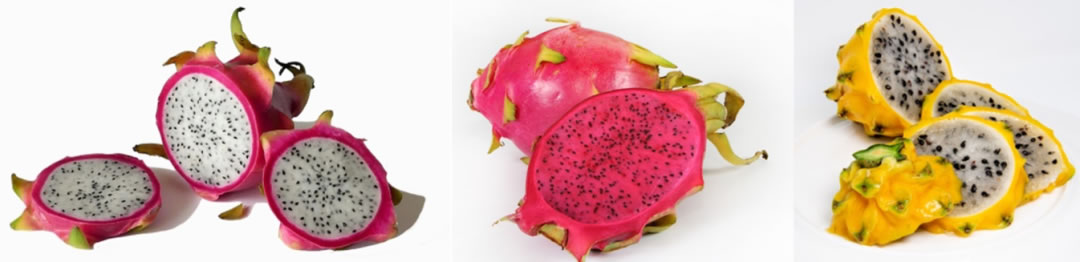 火龍果是仙人掌的果實嗎 火龍果是仙人掌的果實嗎