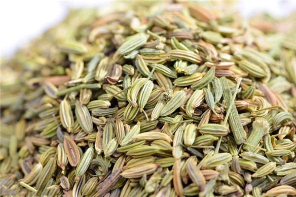 小茴香和大茴香有什么區別(大小茴香的區別方法) 小茴香和大茴香有什么區別(大小茴香的區別方法)