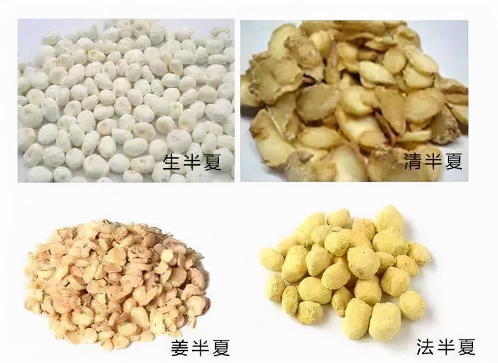 半夏的價(jià)格多少錢(qián)一斤(半夏市場(chǎng)價(jià)格) 半夏的價(jià)格多少錢(qián)一斤(半夏市場(chǎng)價(jià)格)