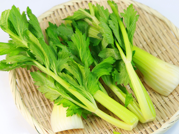 芹菜什么時(shí)候播種最好（芹菜的播種方法和播種時(shí)間）