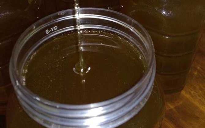 龍眼蜜價(jià)格多少錢一斤？