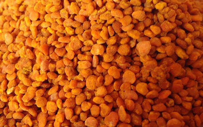 茶花粉和荷花粉哪個(gè)好？