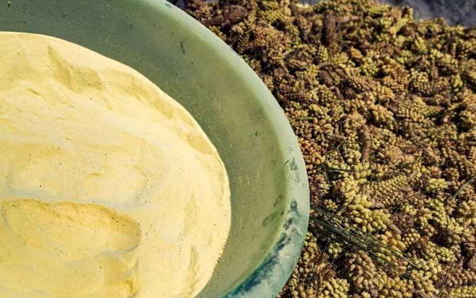 松花粉價(jià)格表及選購技巧